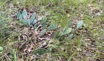 Whispering Pines, Antlers, OK 74523