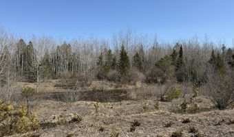 139 AC Witt Rd, Alpena, MI 49707