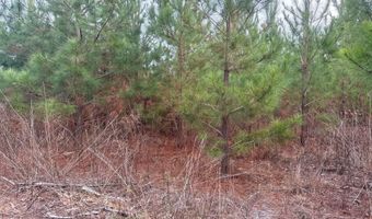 Qbf 12 Nurnberg Dr Road Qbf 12, Batesburg Leesville, SC 29070