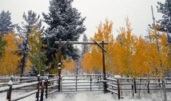 64 Elk Horn Ct, Bailey, CO 80421