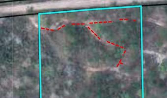 00 DELL, Bainbridge, GA 39819