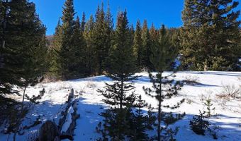 3553 RIVER Dr, Alma, CO 80420