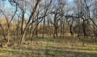 0002 CR-290, Asbury, MO 64832