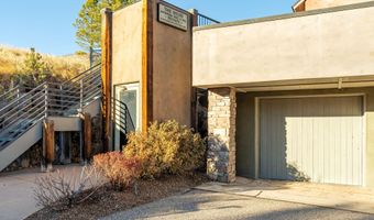 506 Wild Spring Ln, Basalt, CO 81621