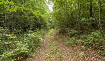 COUNTY ROAD 22, Arley, AL 35541