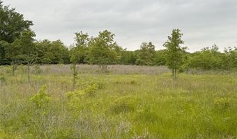 Rains County Road 2610 lot 25, Alba, TX 75410