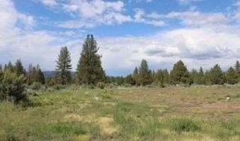 Deer Springs Road, Beatty, OR 97621