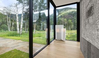 5387 Castle Creek Rd, Aspen, CO 81612