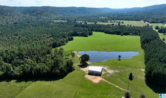 6150 SHOAL CREEK Rd 124+/- Acres, Ashville, AL 35953