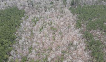 2573 SE Pricedale Dr, Bogue Chitto, MS 39629