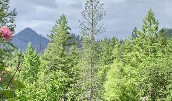 4580 OLD HOUSE CREEK Rd, Agness, OR 97406