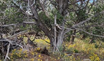 912 Westwood Rnch, Ash Fork, AZ 86320