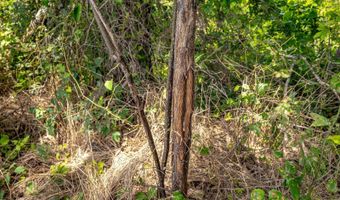 0 Straight Bayou Rd, Anguilla, MS 38721
