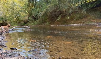 Coleman Mountain Road, Appomattox, VA 24522