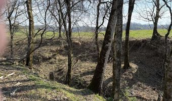 Wells Landing Road, Albany, KY 42602