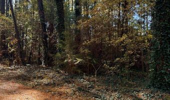 Lot 19 FOLLY CREEK CLUB LN, Accomac, VA 23301