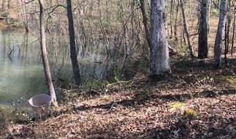 W POINT DRIVE lot 2 & 3, Arley, AL 35541