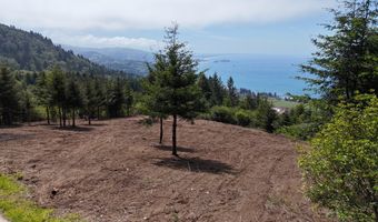 McVay Creek Rd TL310, Brookings, OR 97415