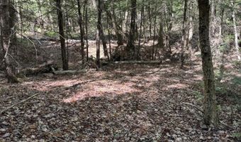 Route 9 lot 13, Aurora, ME 04428