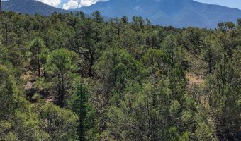 Robertos Lane, Arroyo Seco, NM 87514