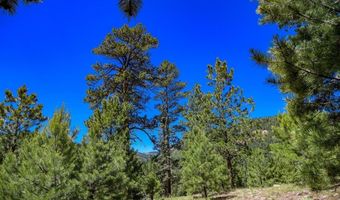 N Ridge Court lot 3, Antonito, CO 81120