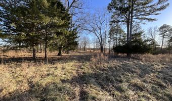 000 County Road 413, Alton, MO 65606