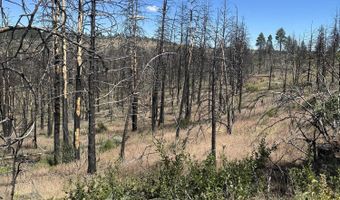 Wren Dr lot 11, Bonanza, OR 97623