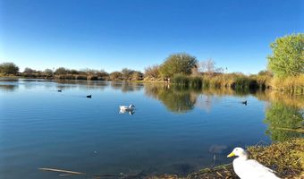 3690 E CANYON Way, Chandler, AZ 85249