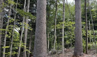 Map 227 Lot 010 Underwood Road, Acworth, NH 03601