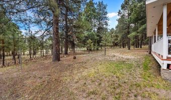 24 Co Rd 2065, Alpine, AZ 85920