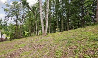 26417 Old Saltworks Rd, Abingdon, VA 24210