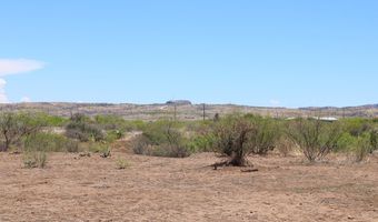 54953 State Hwy 118 S, Alpine, TX 79830