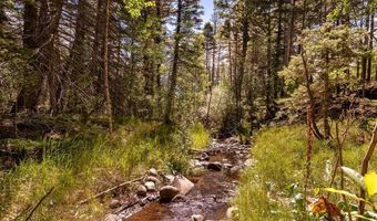 County Rd 46, Aguilar, CO 81020