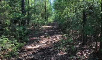 NHN Bear Rd, Carriere, MS 39426