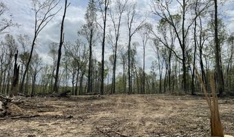 State Hwy N Tract G, Ava, MO 65608