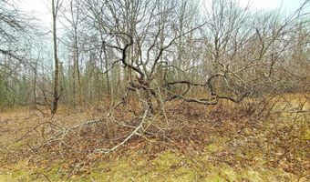 0 Ryan Rd, Baileyville, ME 04694