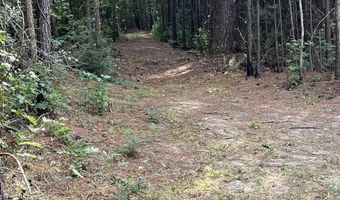 TBD Oglethorpe Dr, Andrews, SC 29510