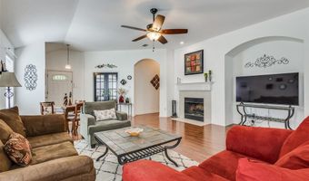 1617 Black Maple Dr, Anna, TX 75409