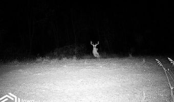 560 Th Ave, Albia, IA 52531