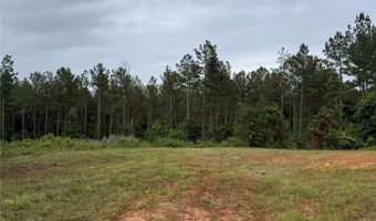 154 County Road 38 Acres, Banks, AL 36005