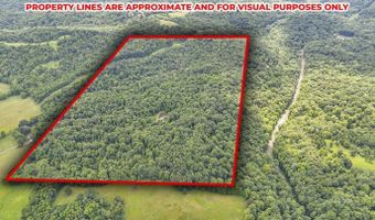 16749 Mush Run Rd, Athens, OH 45701