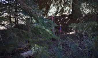 Vallecito Pl, Bayfield, CO 81122