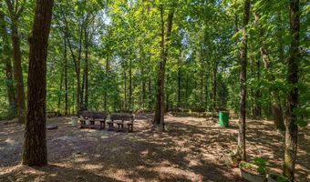 59 WATERS EDGE Crst, Alpine, AL 35014