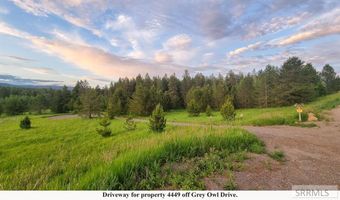 4449 E Grey Owl Dr, Ashton, ID 83420