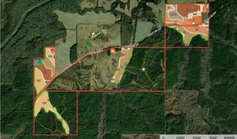 1037 Cr 300, Big Creek, MS 38914