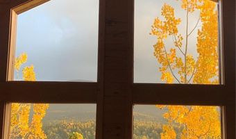 153 Wise Rd, Bailey, CO 80421