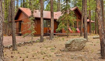 4 County Road 2089, Alpine, AZ 85920