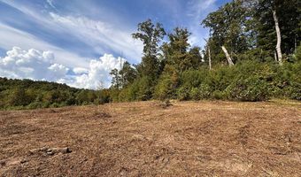 13 44 Ac Chestnut Ridge Rd, Allardt, TN 38504