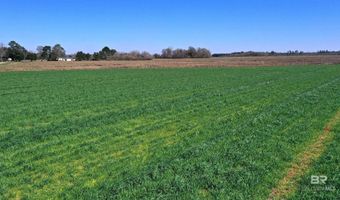 Lot 16 Davis Pond Road, Atmore, AL 36502