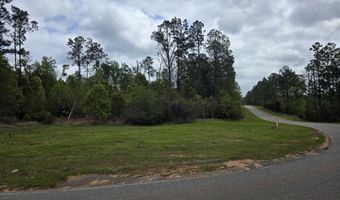 11631 Red Hill Rd Ext, Bay Minette, AL 36507